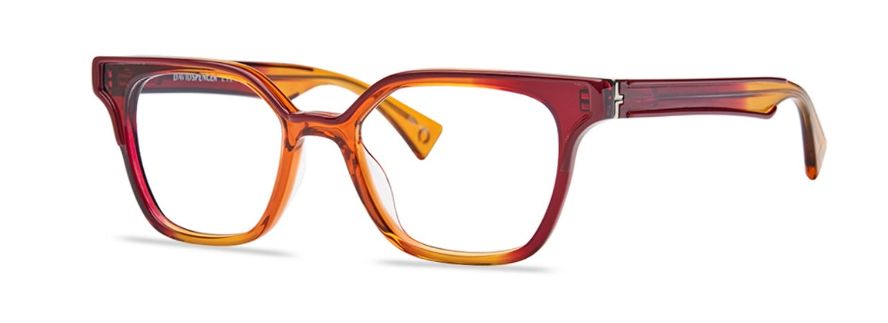 David Spencer Bergh image 5