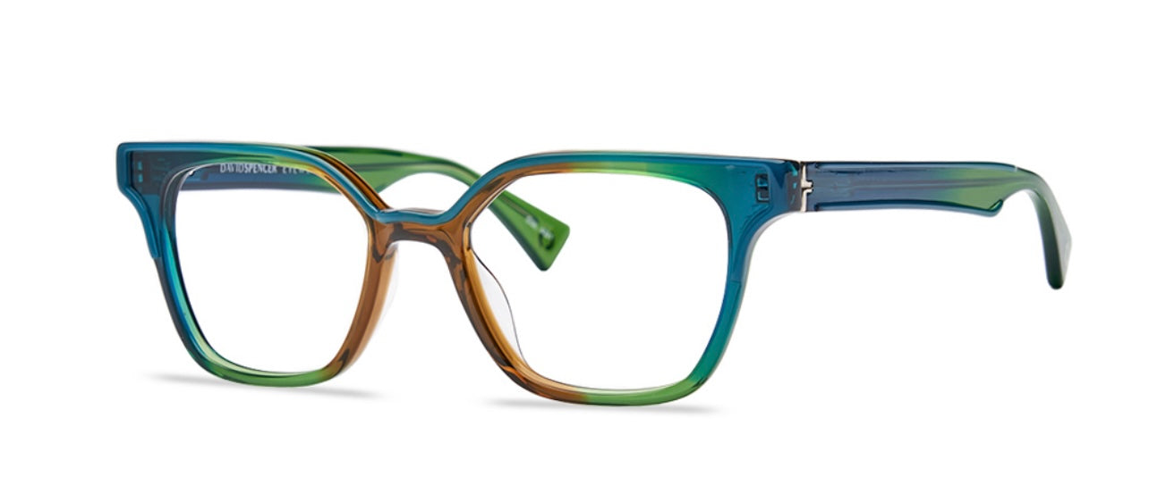 David Spencer Bergh image 3